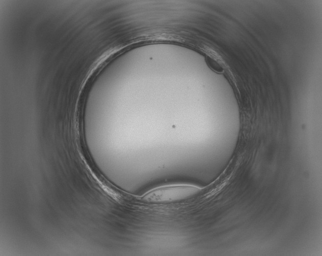 X0000060241141200511241326