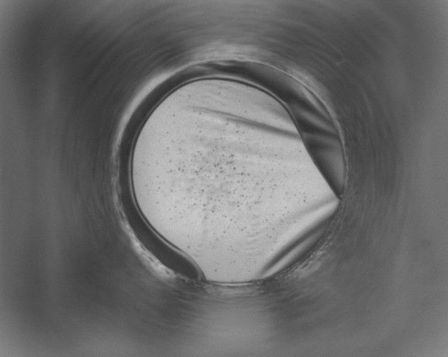 X0000060241152200511241327