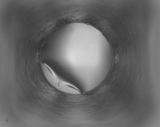 X0000060241156200511241326