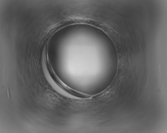 X0000060241157200511241326