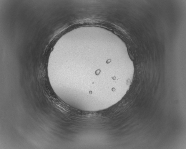 X0000060241160200511241326
