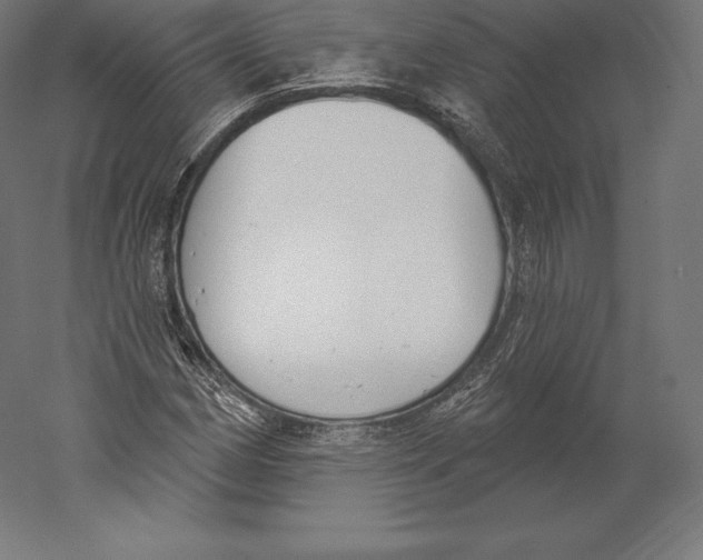 X0000060241162200511241326