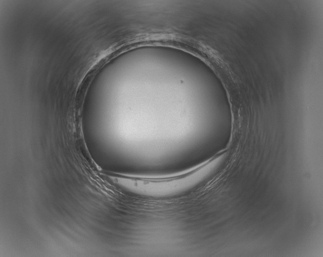 X0000060241165200511241326