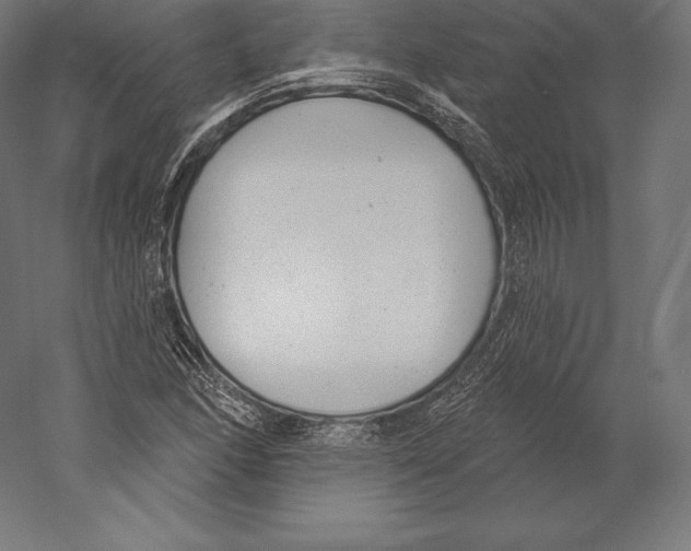 X0000060241166200511241326