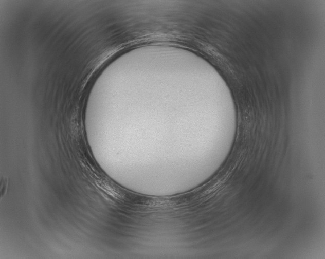 X0000060241170200511241325