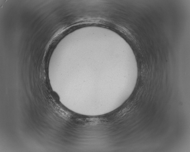 X0000060241172200511241325