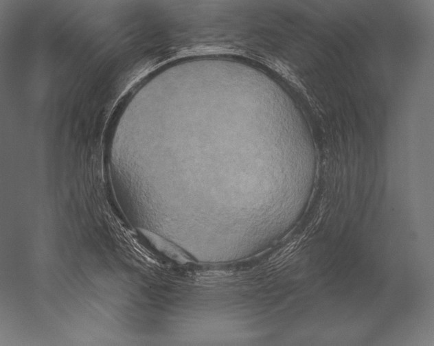 X0000060241173200511241325