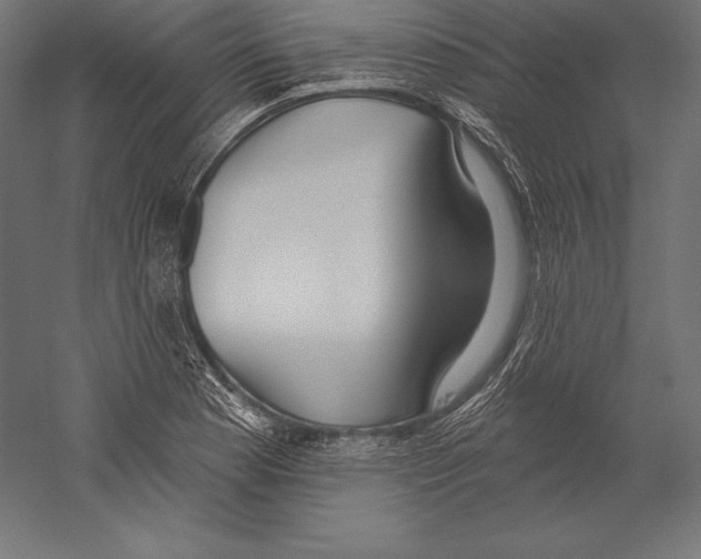 X0000060241177200511241325