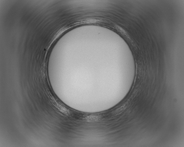 X0000060241178200511241325