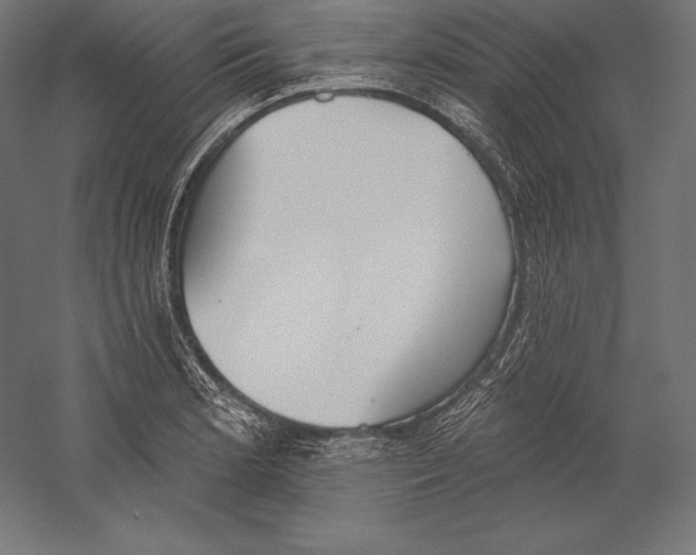 X0000060241181200511241325