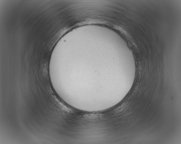 X0000060241185200511241325