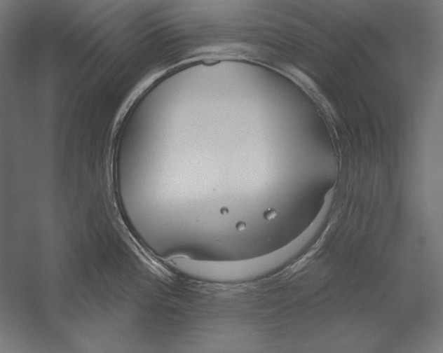 X0000060241196200511241325