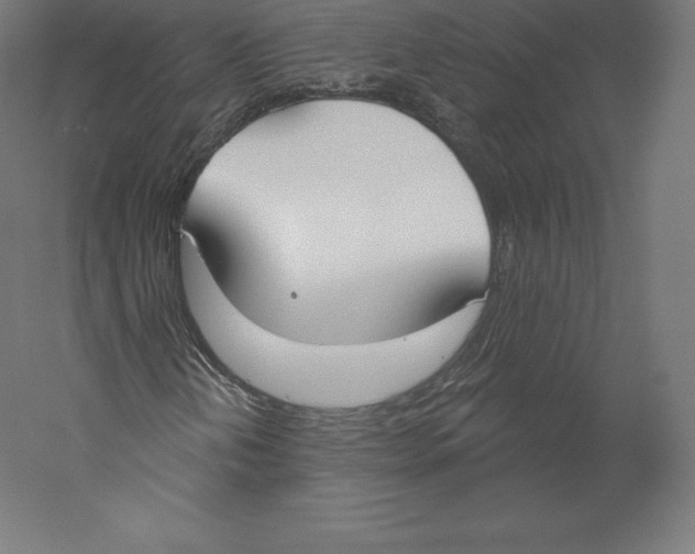 X0000060241202200511241324