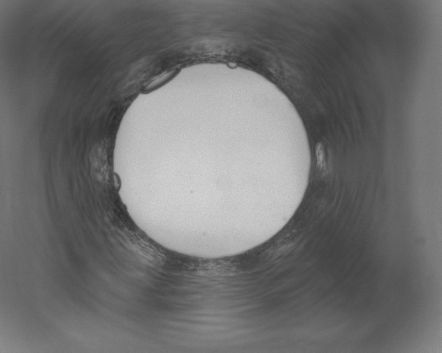 X0000060241203200511241324