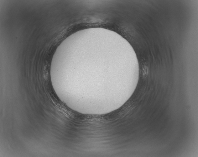 X0000060241204200511241324