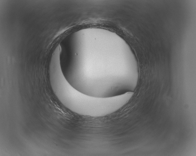 X0000060241206200511241324