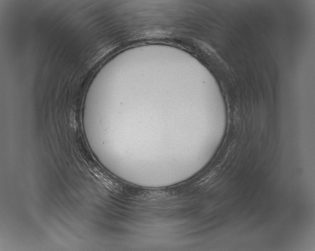 X0000060241209200511241324
