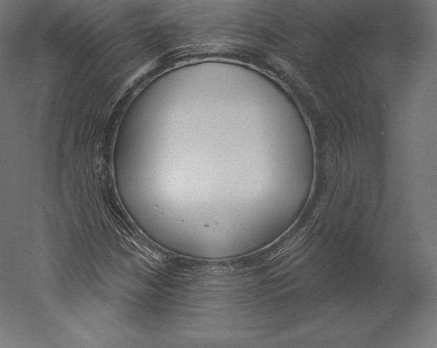 X0000060241210200511241324