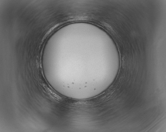 X0000060241212200511241324