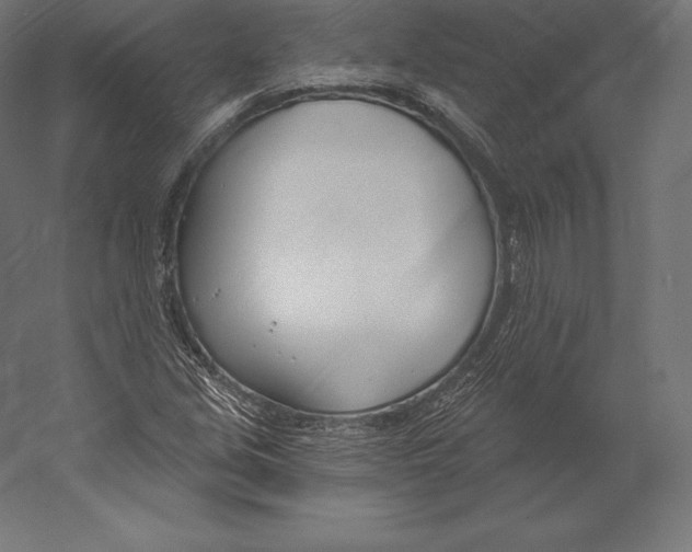 X0000060241213200511241324