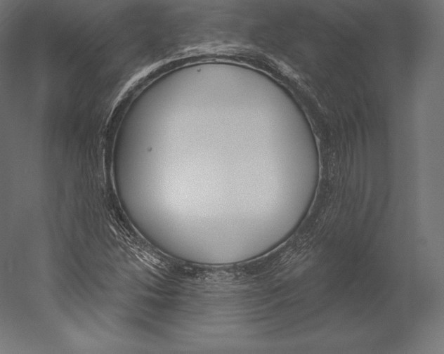 X0000060241214200511241324
