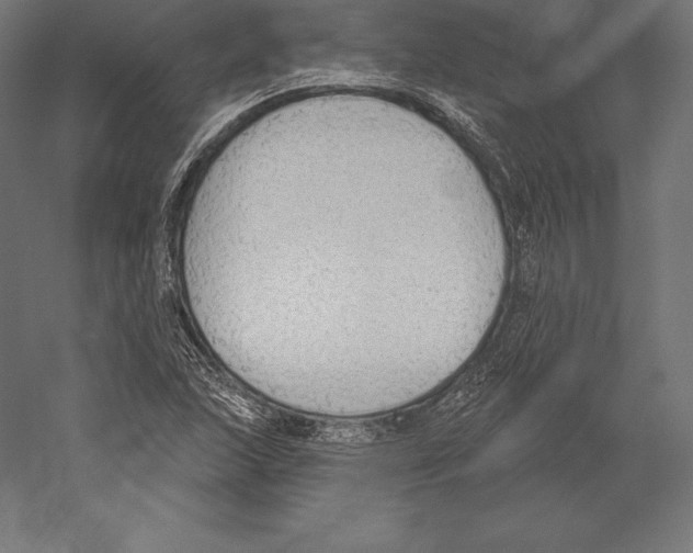 X0000060241215200511241324