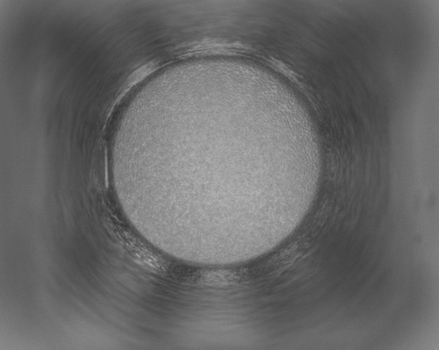 X0000060241219200511241324