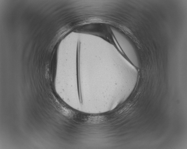 X0000060241225200511241325