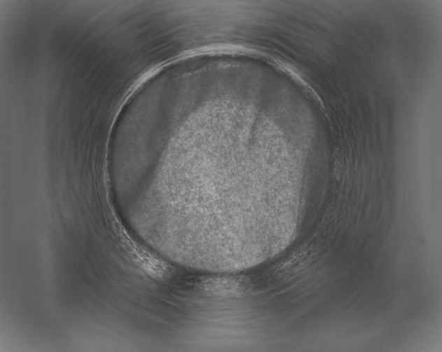X0000060241229200511241325