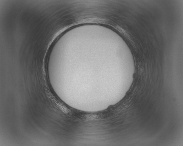 X0000060241230200511241325