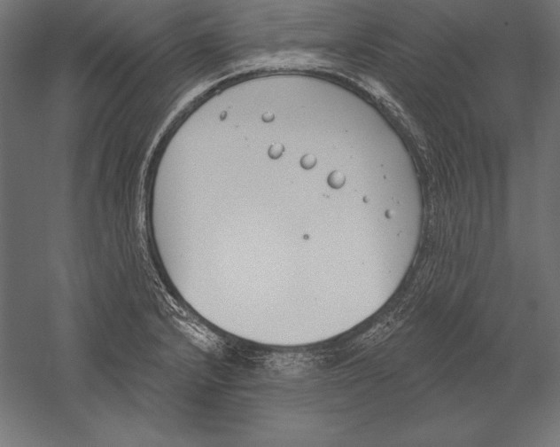 X0000060241232200511241325