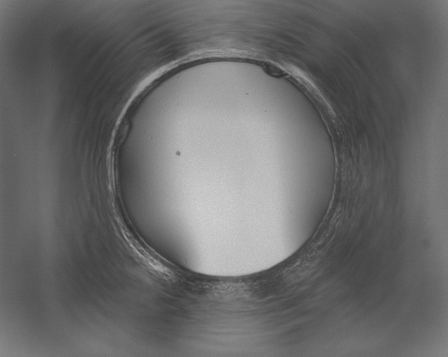 X0000060241238200511241325