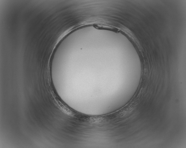 X0000060241242200511241325