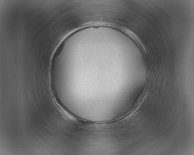 X0000060241244200511241325