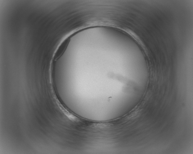X0000060241246200511241325