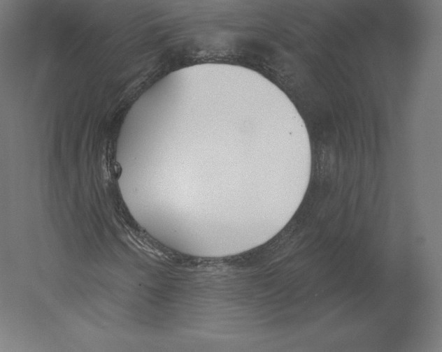 X0000060241250200511241324