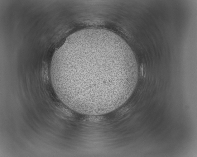X0000060241251200511241324