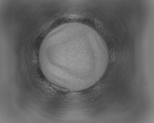 X0000060241253200511241324