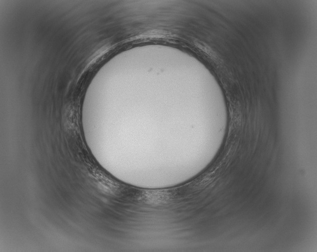 X0000060241258200511241324