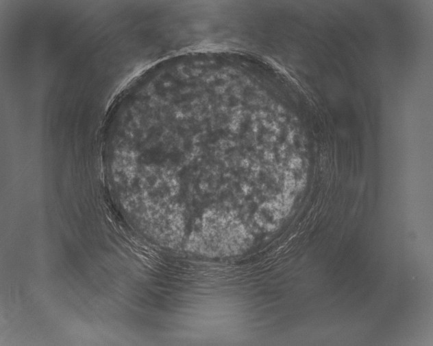 X0000060241262200511241324