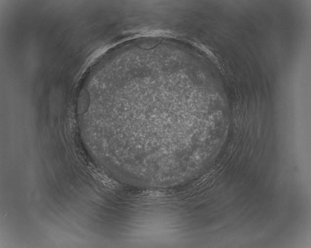 X0000060241263200511241324