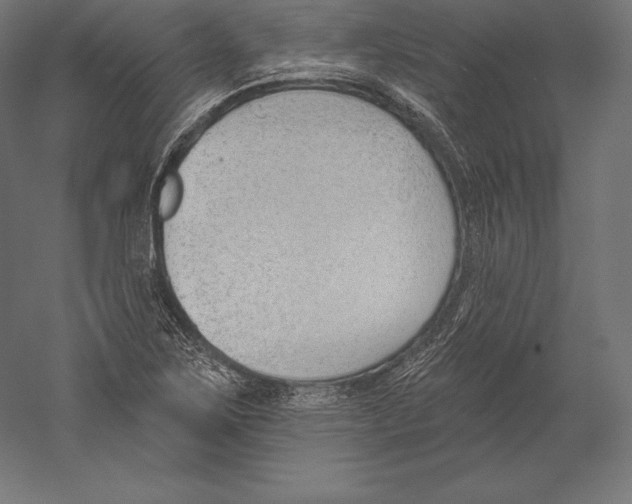 X0000060241267200511241324