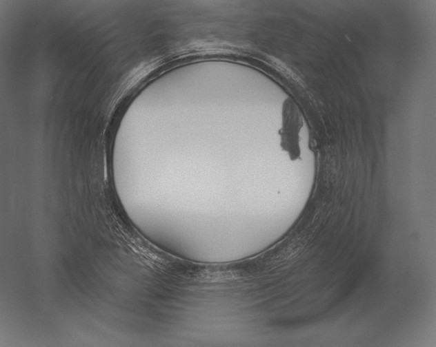X0000060241269200511241324