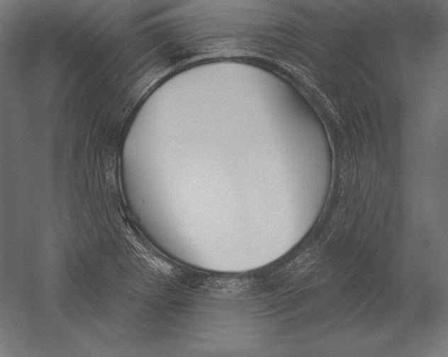 X0000060241273200511241324
