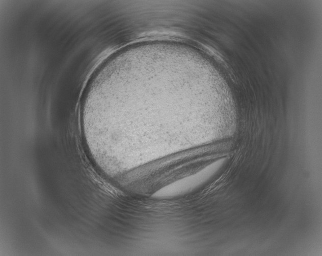 X0000060241275200511241324