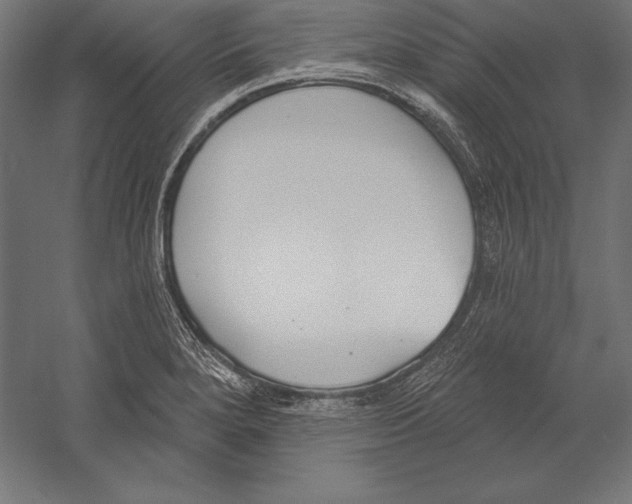 X0000060241280200511241324