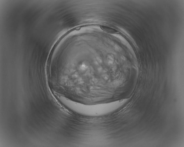 X0000060241291200511241323