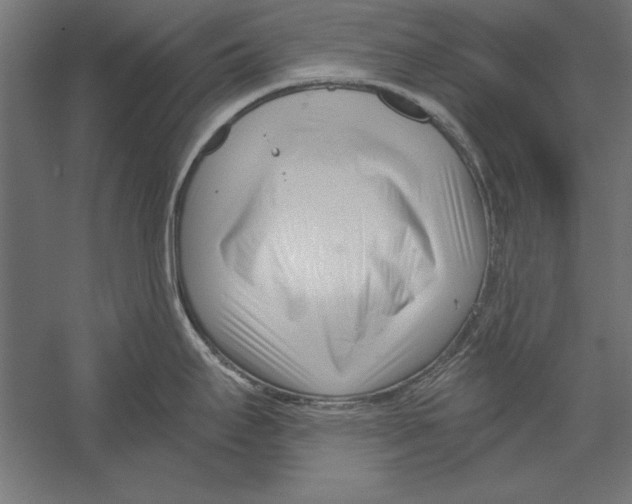 X0000060241295200511241323