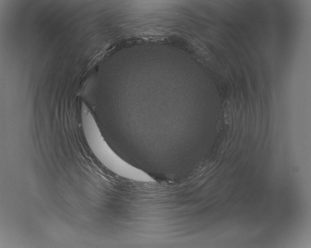 X0000060241298200511241322