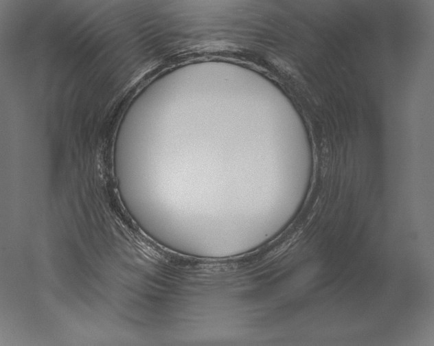 X0000060241305200511241323